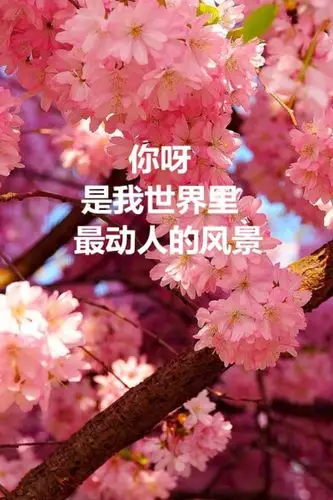 收集   点赞  评论  最美的风景 0 27 春夏之冬  发布到  图字 图片