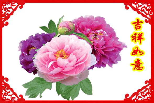 今天大年初八送你88朵牡丹花祝你2021花开富贵如意吉祥