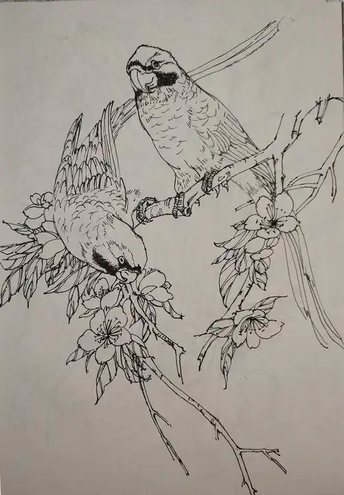 花鸟(写生)手绘小稿