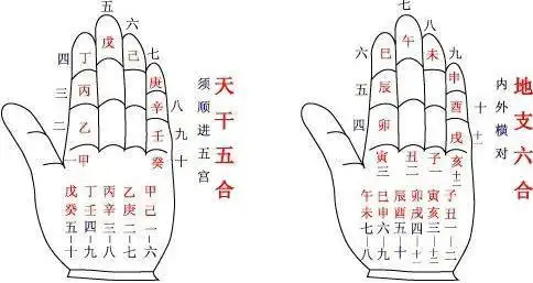 利用掌诀,可以很顺利地,在相应的地支推出相应的天干来.