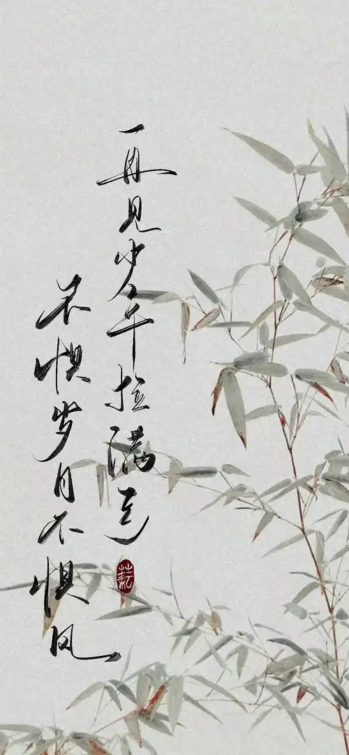 国风书法类壁纸推荐