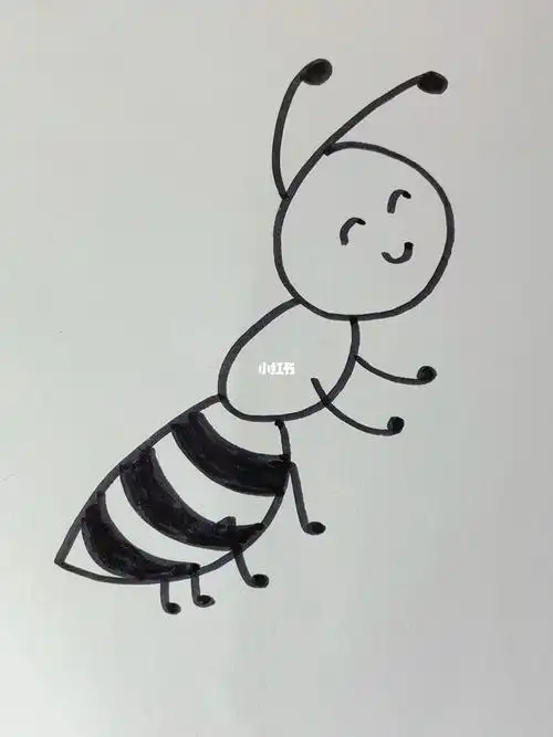 数字6画一只小蚂蚁