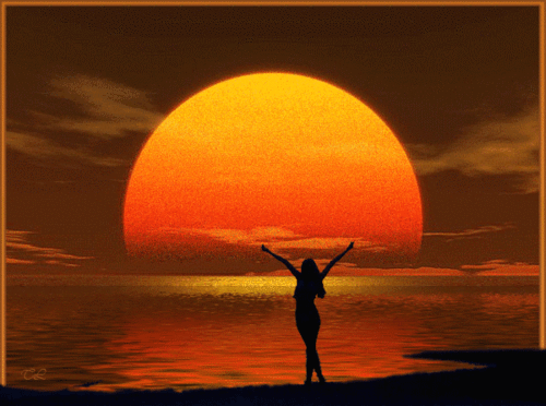 600_446gif 动态图 动图