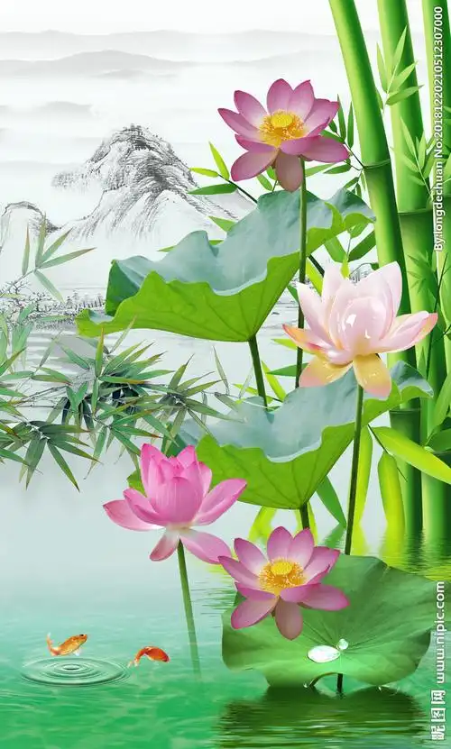 山水荷花竹子图片