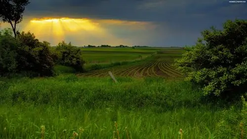 高清保护眼睛风景壁纸(3)