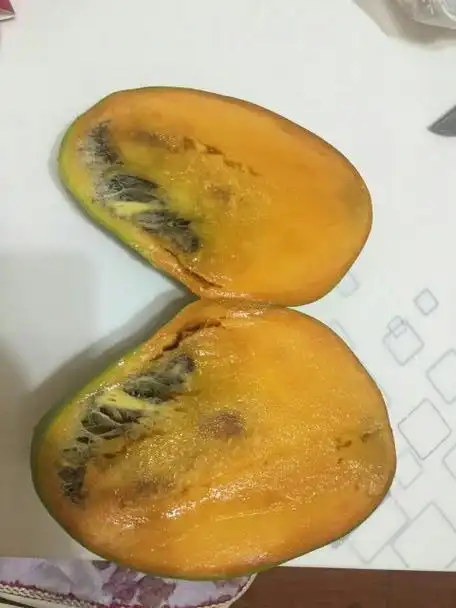 怎样判断芒果坏了