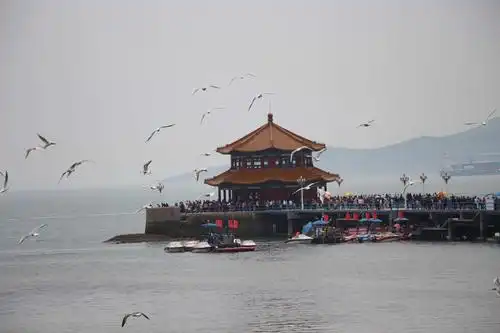 百年栈桥,时代奥帆——闻名世界的大青岛一日游