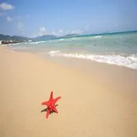 最美沙滩风景头像意境图片_微信头像图片大全