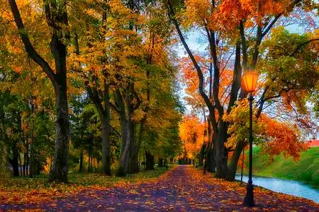 秋天自然的美丽色彩风景照片