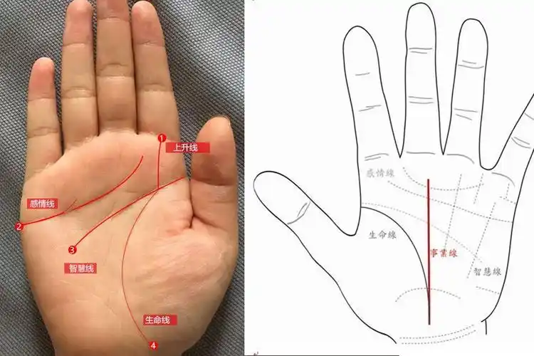 阴阳五行与五脏六腑均在手掌