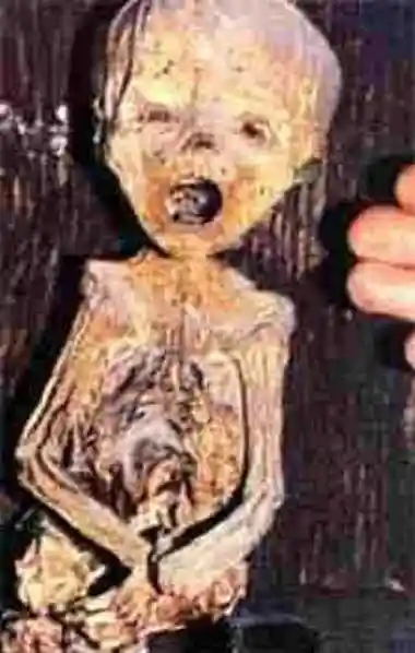 p>印加儿童 a href="#" data-lemmaid="18594">木乃伊 /a>被发现于 a