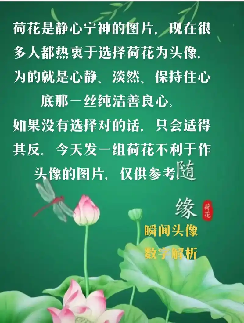 头像设计 #好运莲莲荷花分享给你 荷花是静心宁神的图片,现 - 抖音