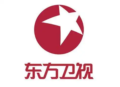 各大卫视台标,你知道你家乡台标含义吗?