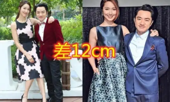 有种爱情叫身高差,蔡少芬张晋没啥,相差12厘米的他们让人羡慕