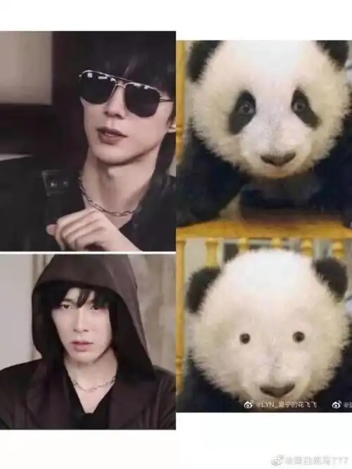 画点刘宇宁黑瞎子看了会尴尬的东西