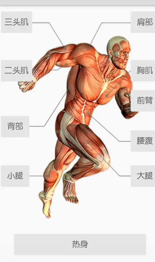 怎样才能把胸肌练大?