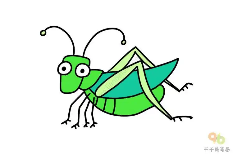 蝈蝈卡通简笔画