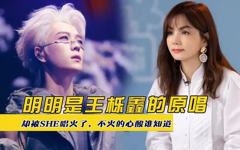 明明是王栎鑫的原唱,却被she唱火了,不火的心酸谁知道