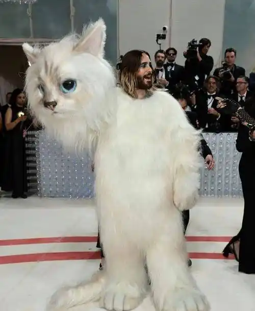 metgala红毯:刘雯美,宋慧乔回春,谷爱凌抢镜,蔡徐坤引质疑_造型_设计