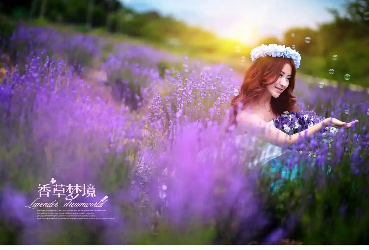 梦幻薰衣草美女唯美写真桌面壁纸