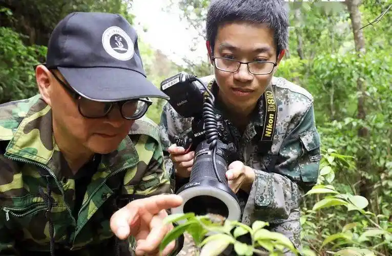 80后工程师"泡"在宜丰山里15年!_黎杰俊_昆虫_何贱