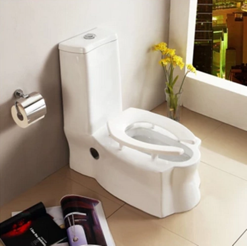 马桶蹲坐两用陶瓷坐便器老人小孩孕妇连体体式普通坐便器