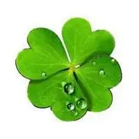 幸运草头像图片大全