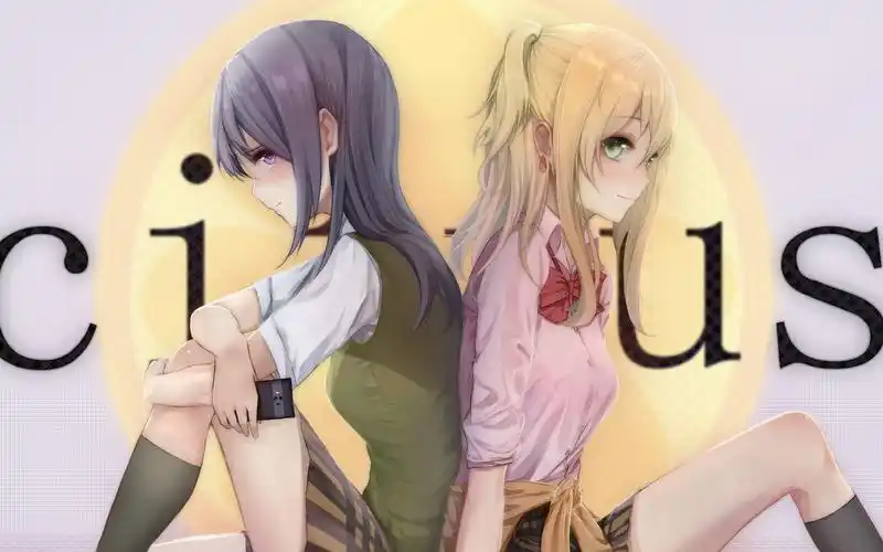 citrus柑橘味香气-同人绘画