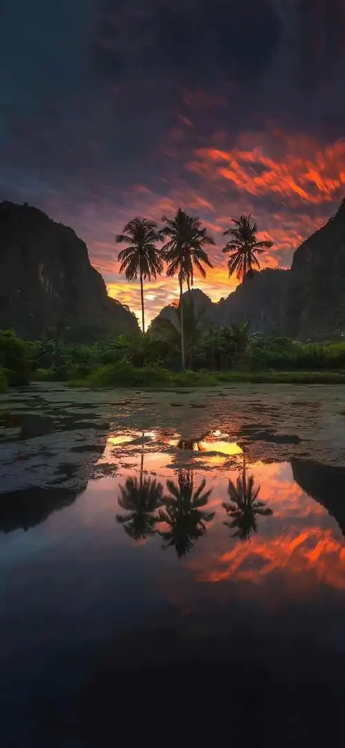 风景##手机壁纸##心情