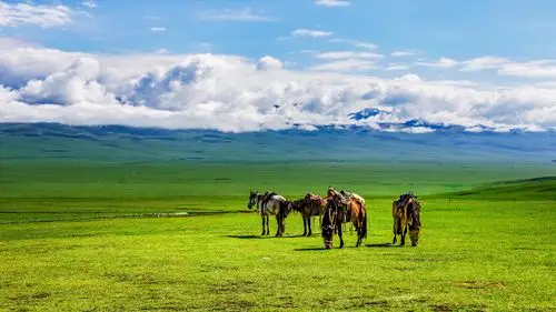 清新唯美的巴音布鲁克草原,高清图片,电脑桌面-壁纸族