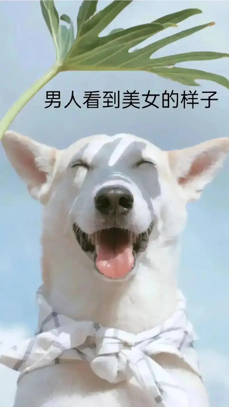 这就是男人对待自己老婆和外面美女的区别98  谁这么有才,我 - 抖音