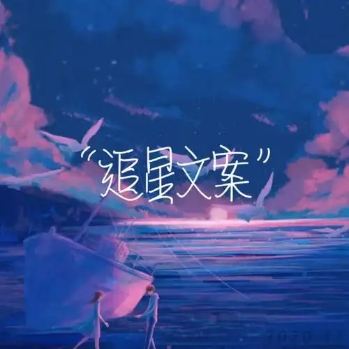 追星女孩的追星文案