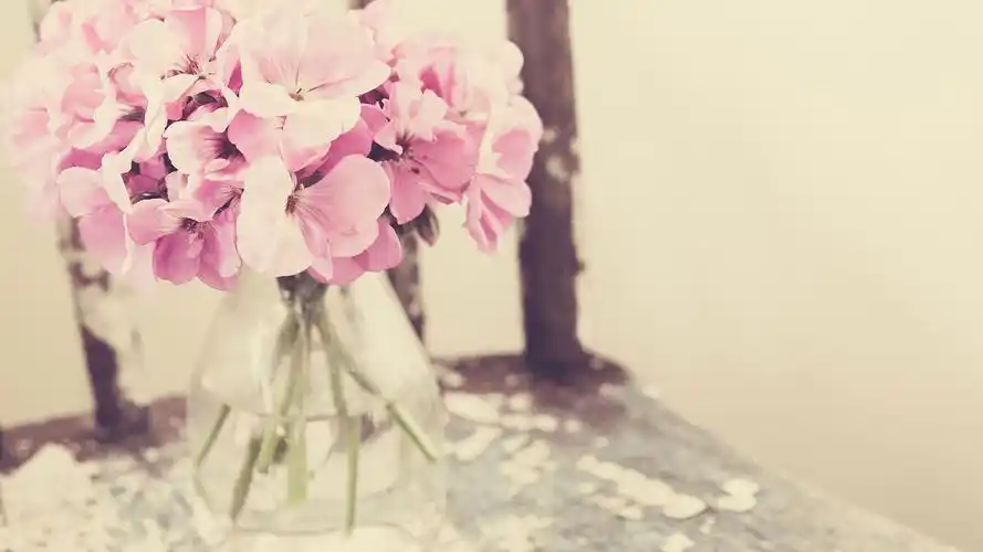 文艺小清新唯美意境静物高清壁纸