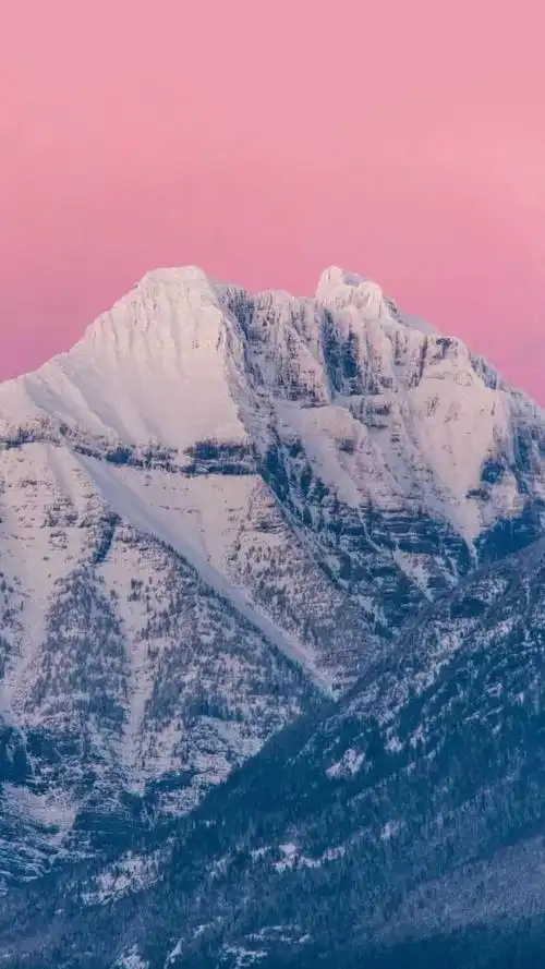 抖音最火最热门的壁纸8个系列一定有你喜欢的