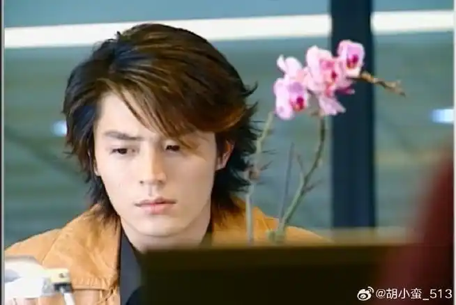 玫瑰的故事##霍建华##海豚湾恋人