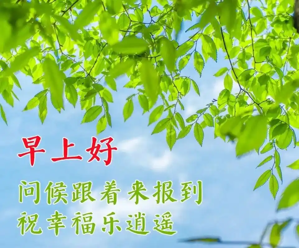非常漂亮的美女早安祝福表情图片带字 温馨的早上好问候心语语录