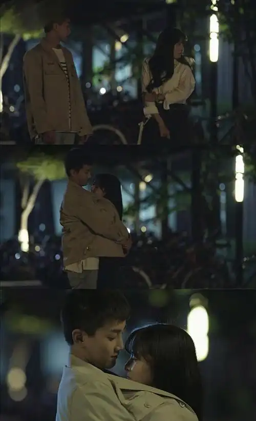 可惜不是你壁纸