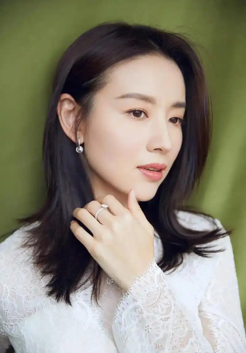 董洁:从风光无限的顶峰到自我救赎的十字路口 董洁,这位曾经的娱乐圈