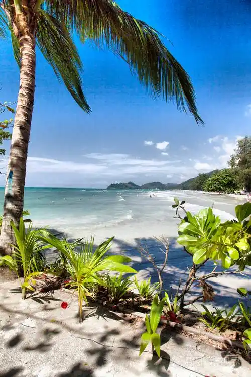 美丽的海边风景