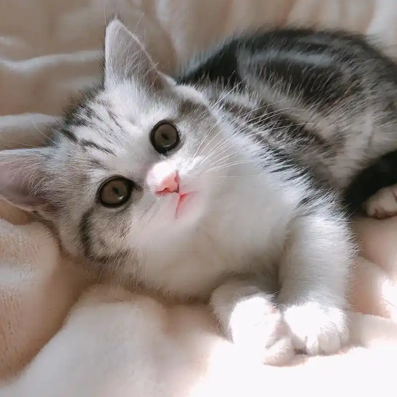 这张照片实在是太可爱了 yuki小时候真的爆炸可爱|#记 - 抖音