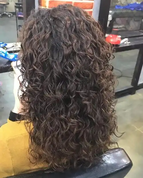 2018狗年流行"泰迪卷