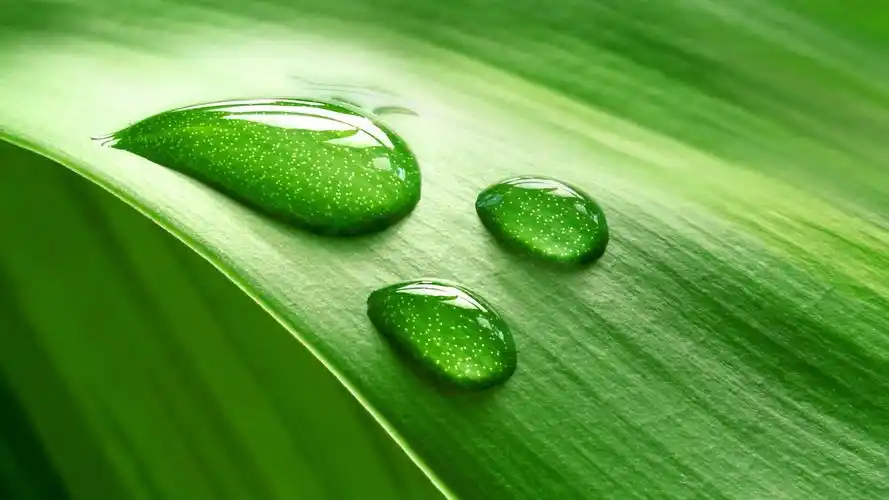 50m上传时间:2020-06-16壁纸标签:护眼壁纸封面图护眼壁纸【465】壁纸