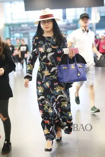 李湘2017年9月11日上海机场街拍:拎爱马仕"柏金"包 (hermes birkin)