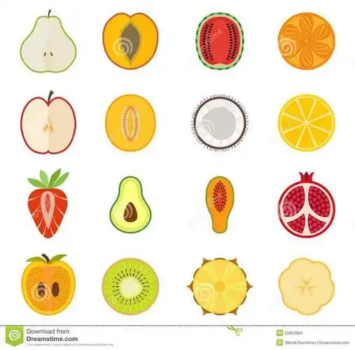 vector-fruit-icon-set-pear-peach-apricot-watermel