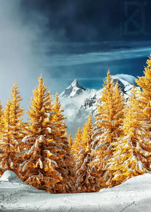 全球十大顶尖风光摄影师