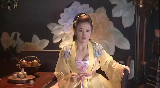 王夫人的胸部是03版天龙八部电视剧最大的败笔|宅男部落