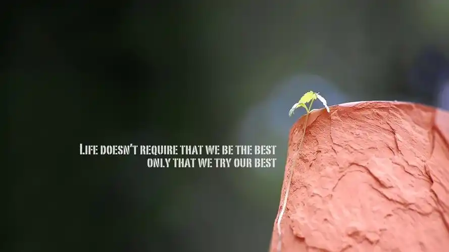 文字英文best文字控壁纸封面图文字 英文 best 文字控壁纸壁纸于2020