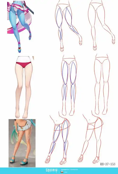 动漫插画基础——腿部结构练习