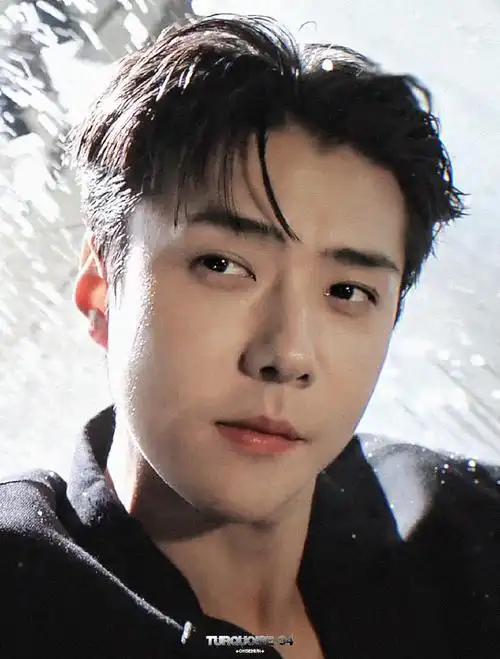 吴世勋颜值天才##吴世勋sense冬日浪漫大片