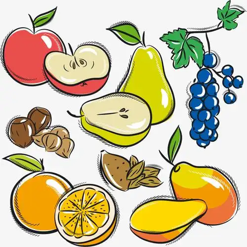 各种手绘水果矢量素材